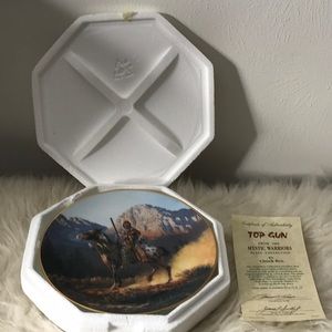 NEW 1992 The Hamilton Collection Mystic Warrior Top Gun plate COA numbered mint